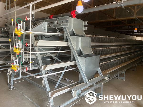 A-Type breeder cage system for poultry farm
