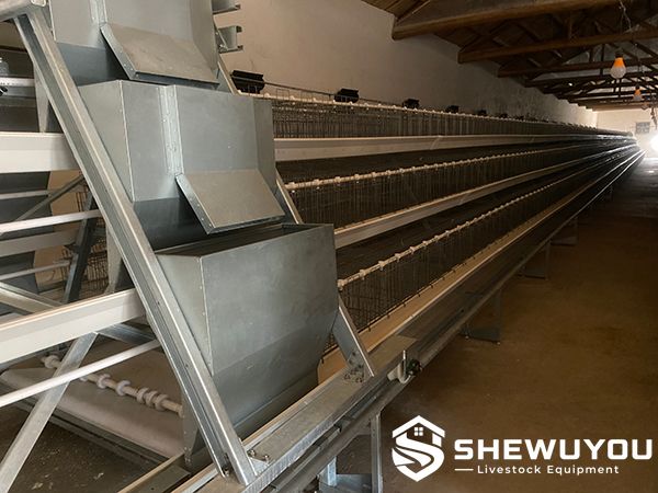 A-Type breeder cage system installed in poultry house