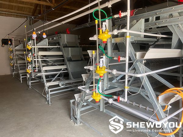 A-Type breeder cage automatic drinking system