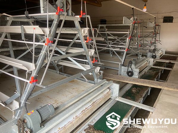A-Type breeder cage manure removal equipment