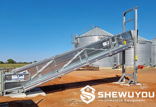 adjustable sheep loading ramp with safety walkway