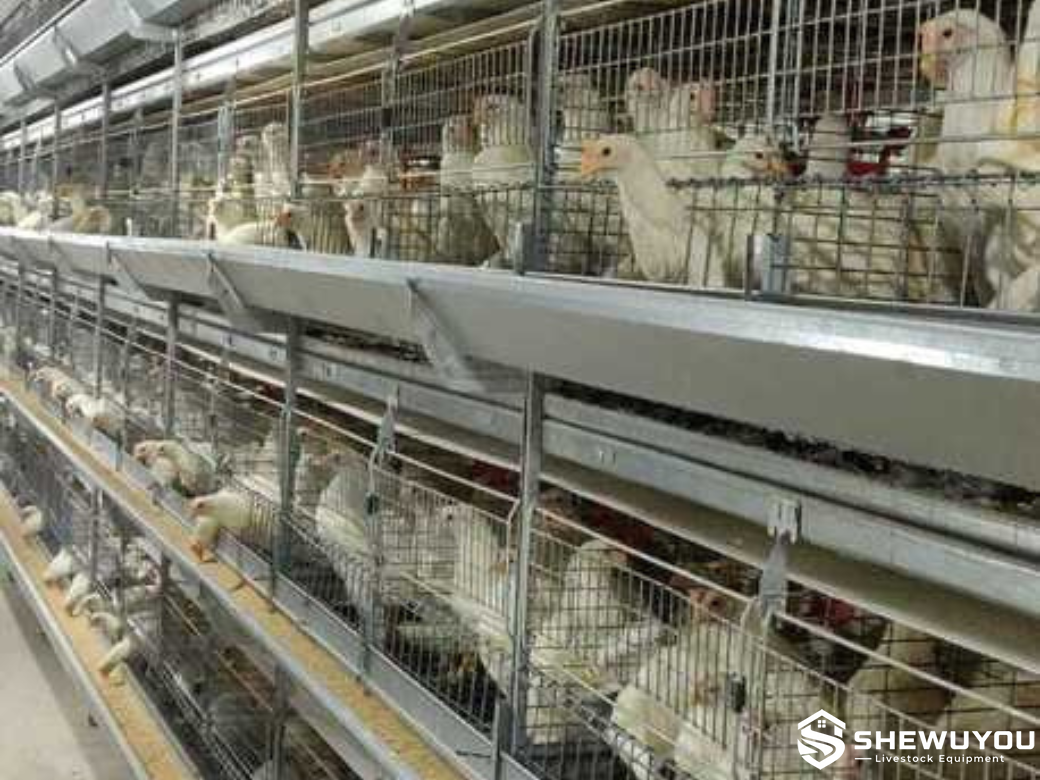 Pullet rearing cage inspection trolley and multi-tier cage system