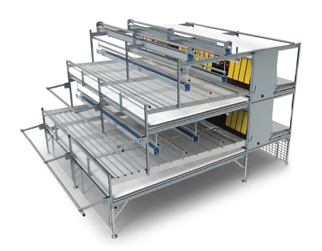 two tier layer aviary inspection system