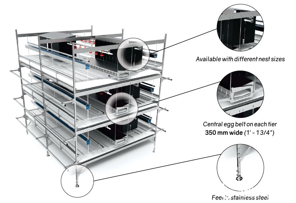 commercial layer aviary system for inspection access