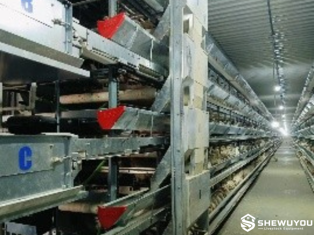multi-tier layer battery cage inspection environment