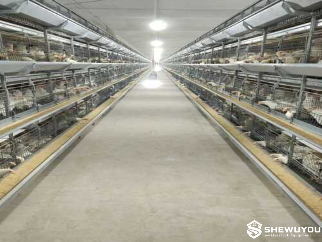 Commercial breeder cage house inspection aisle