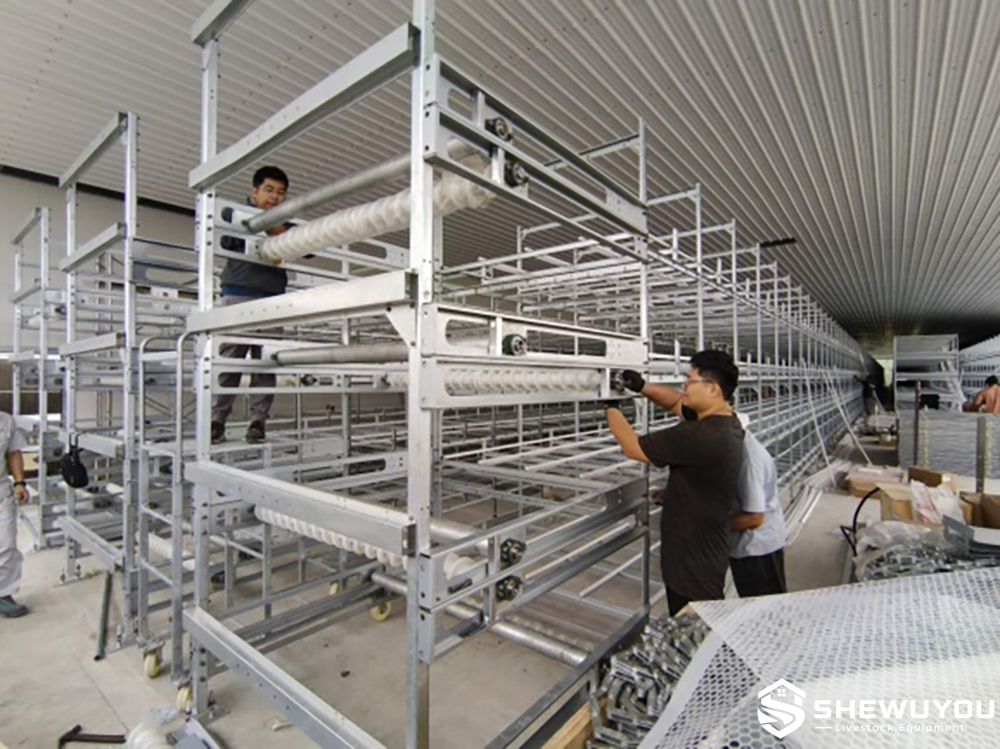 Poultry cage system service access structure
