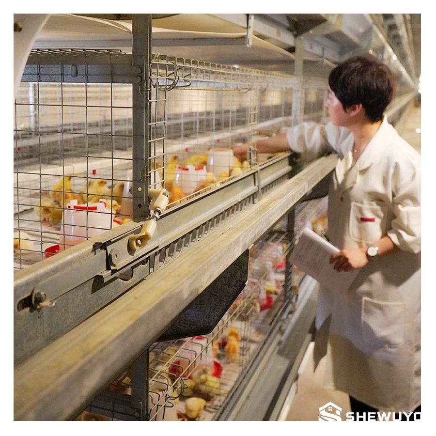 Pullet cage rail inspection trolley application