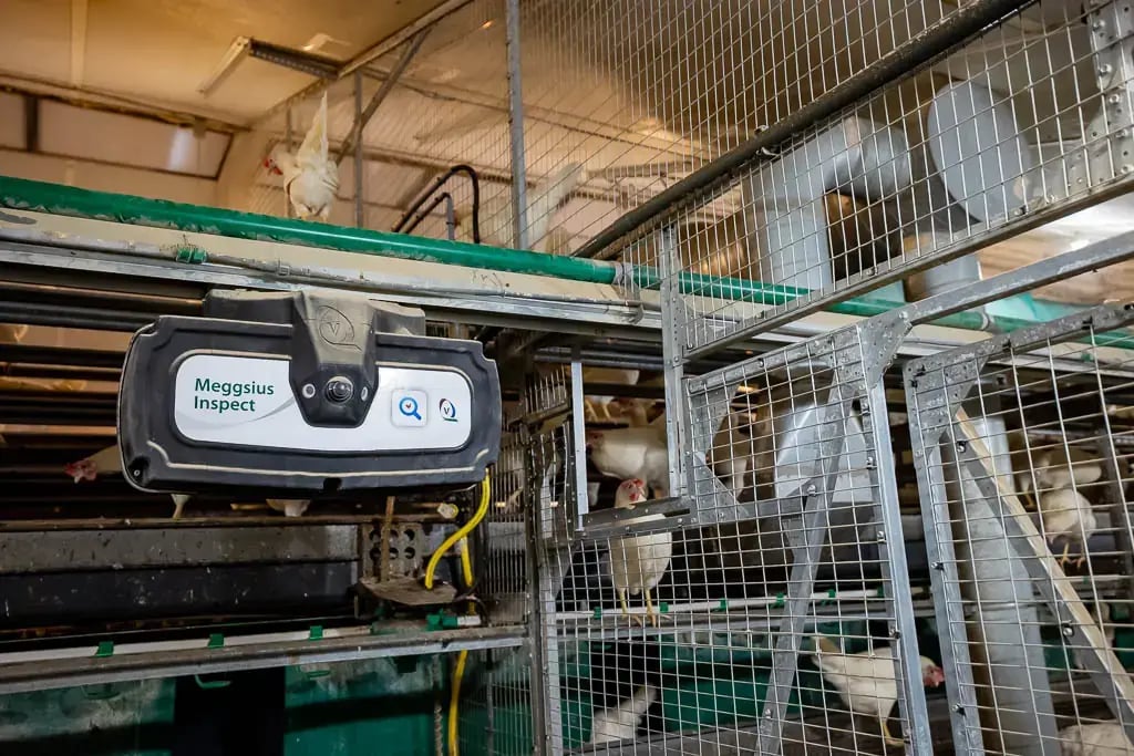 rail mounted poultry inspection robot in aviary system