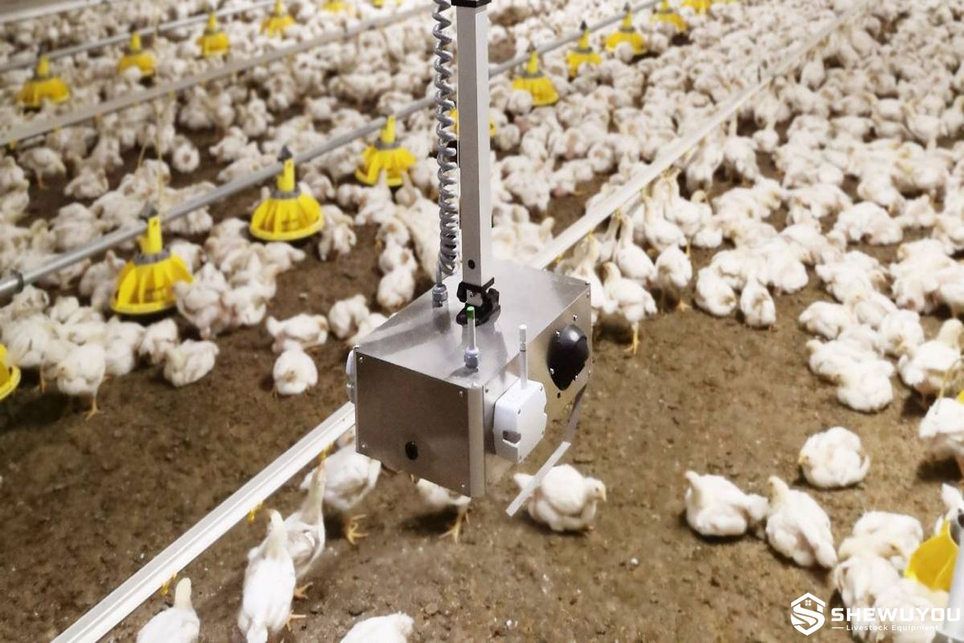 Camera-based rail inspection system for poultry houses