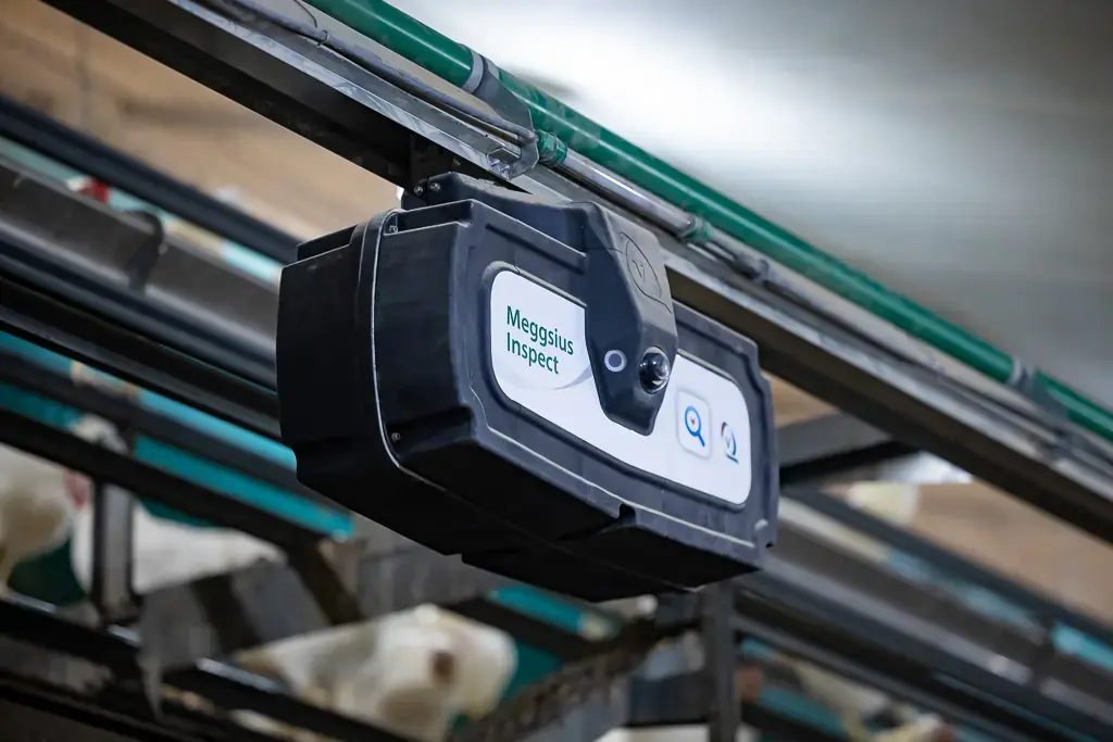 Rail-mounted dead bird detection robot with integrated camera
