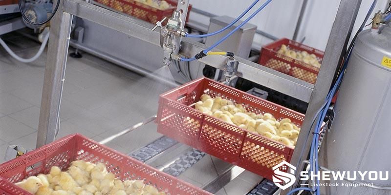 Stand-Alone Chick Box Spray Vaccinator for commercial hatcheries