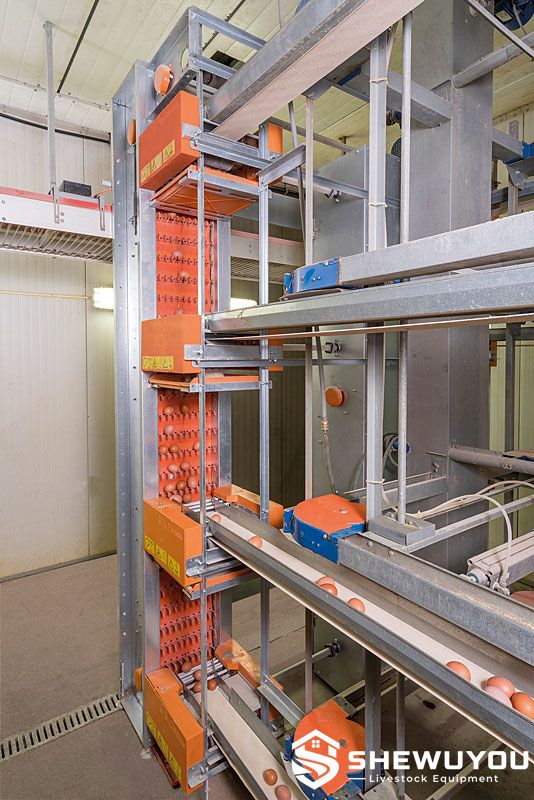 vertical egg elevator with cross conveyor system