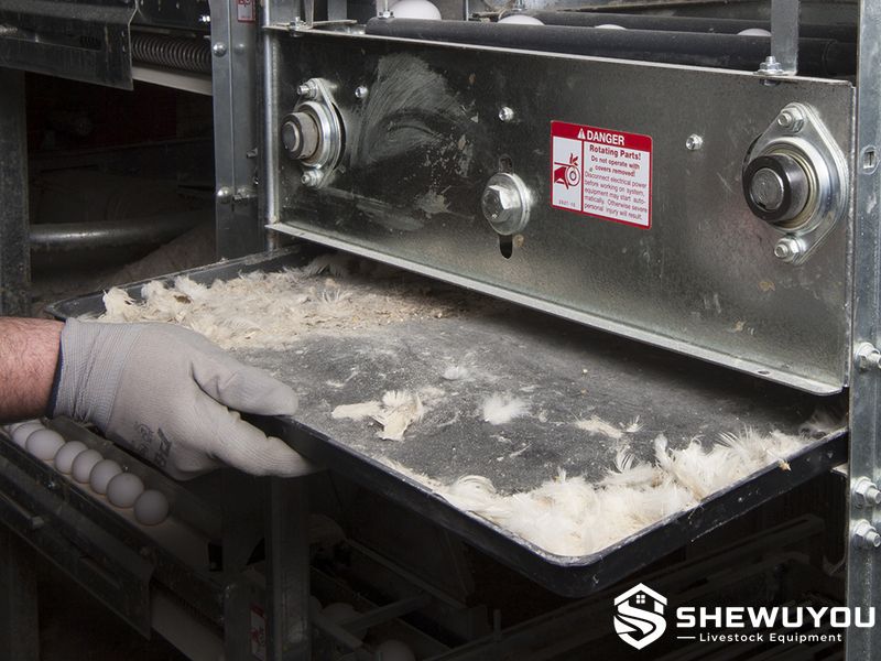 egg elevator debris removal and cleaning tray