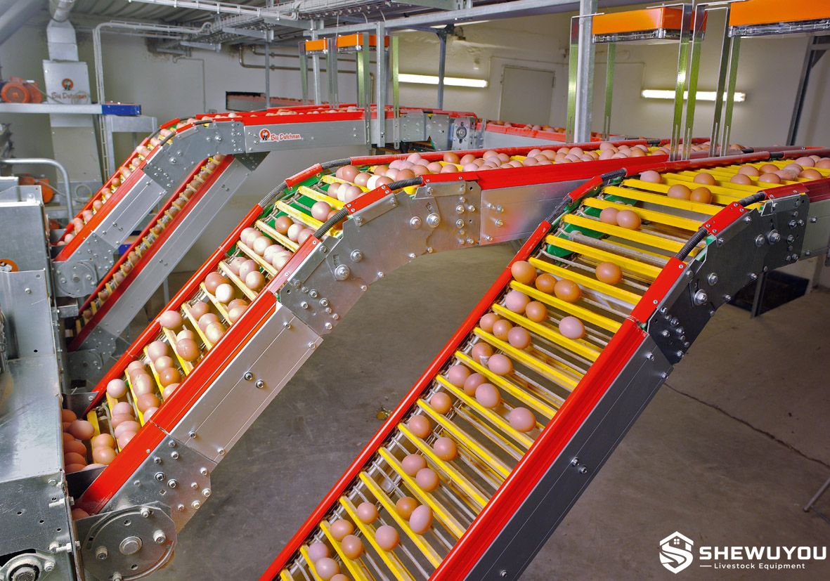 inclined egg conveyor for centralized automatic egg collection