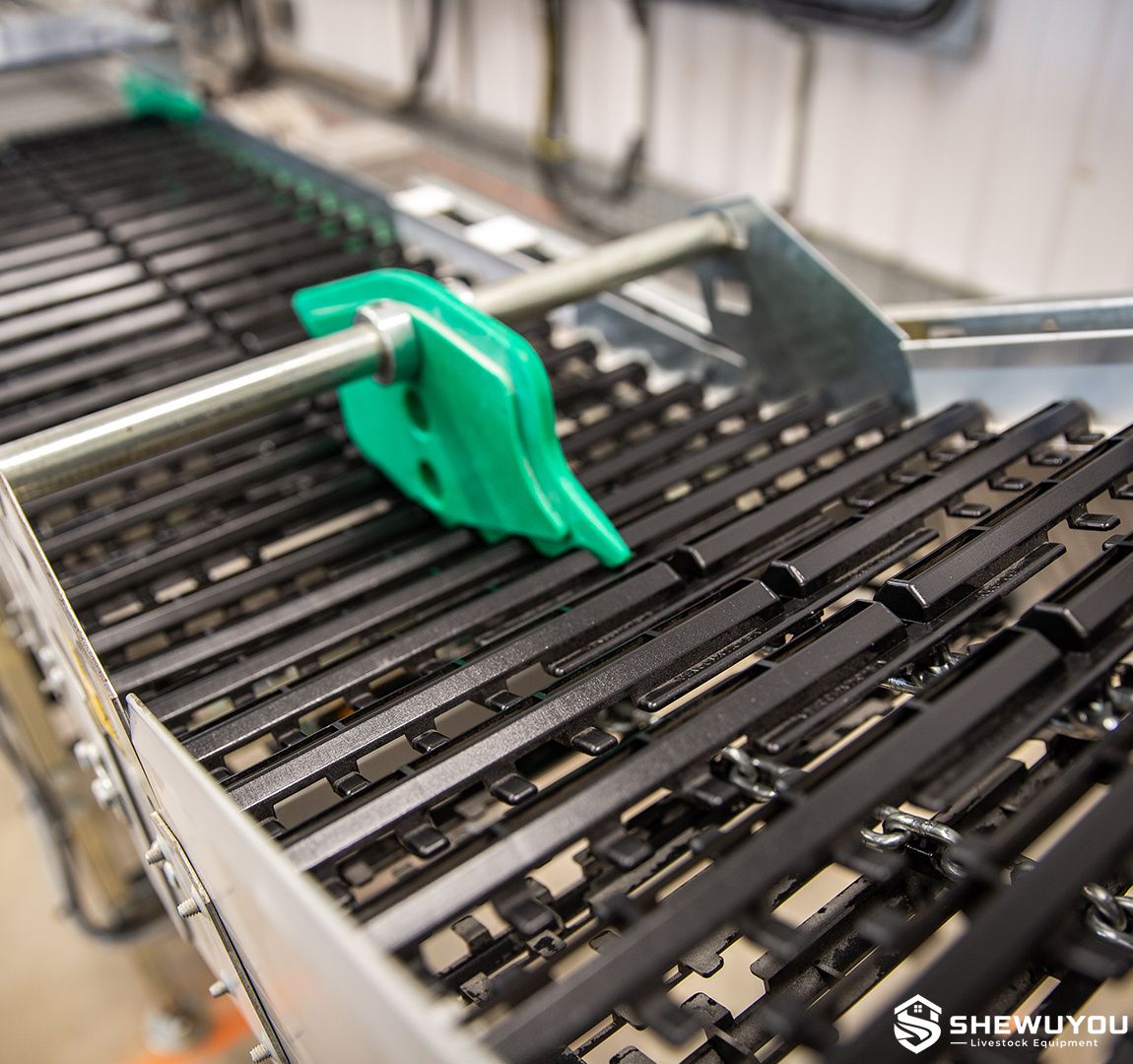 automatic egg conveyor carrier and transfer system