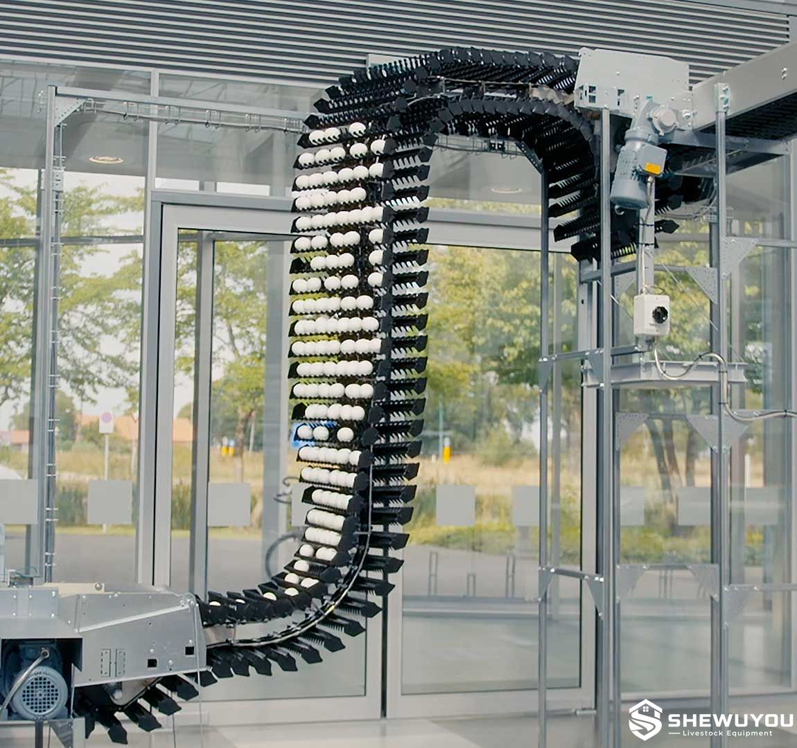 compact egg transfer system for poultry farms
