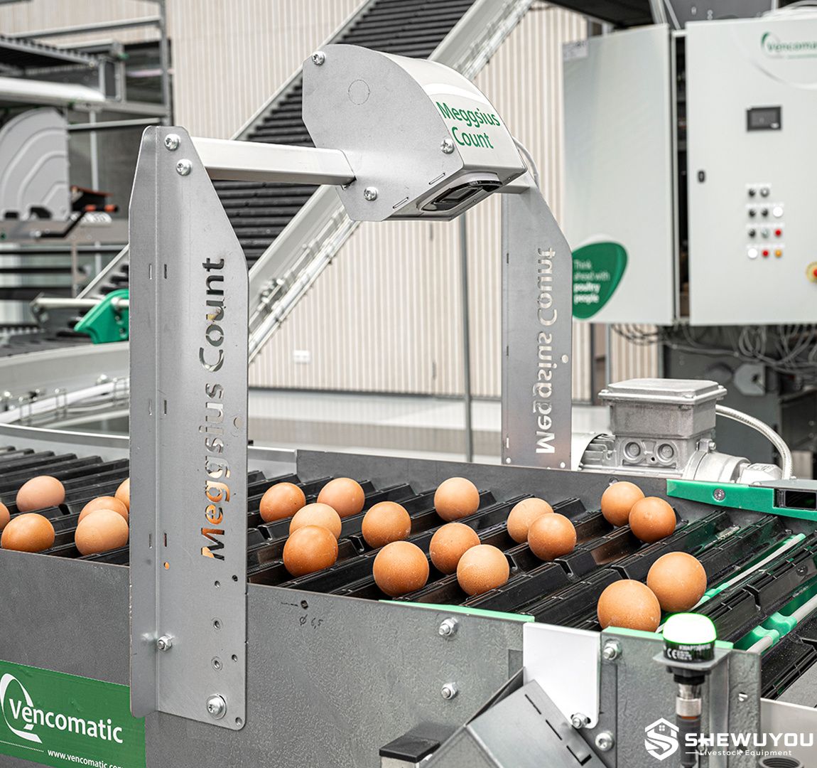 automatic infrared egg counting system for poultry farm