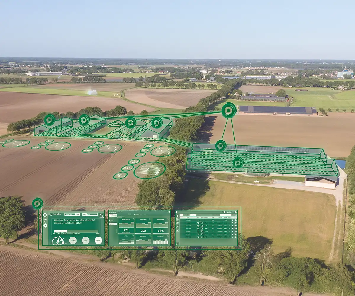 poultry farm automatic egg collection monitoring system