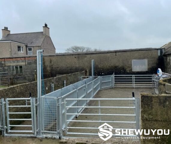 heavy duty fixed sheep handling race