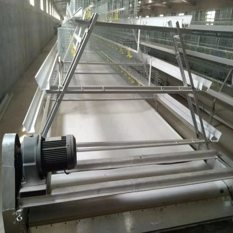 PP poultry manure removal belt system