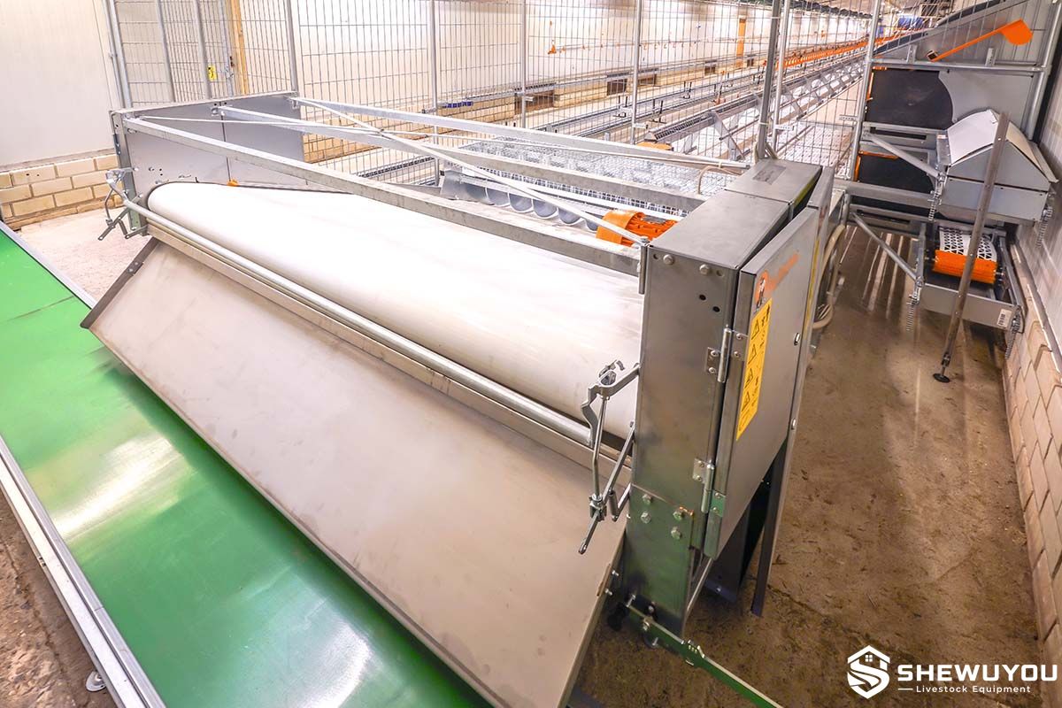 breeder house rolling manure belt system
