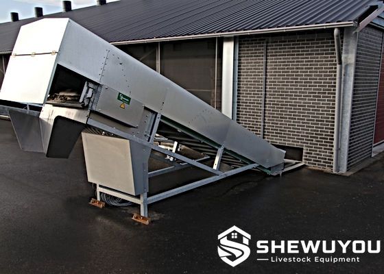 poultry manure conveyor transfer system installation