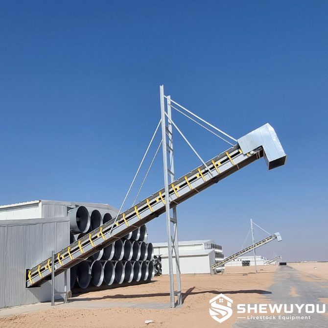 poultry manure conveyor for elevated truck loading