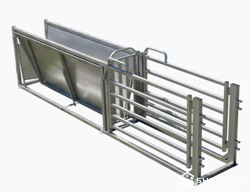sheep handling race with weighing system