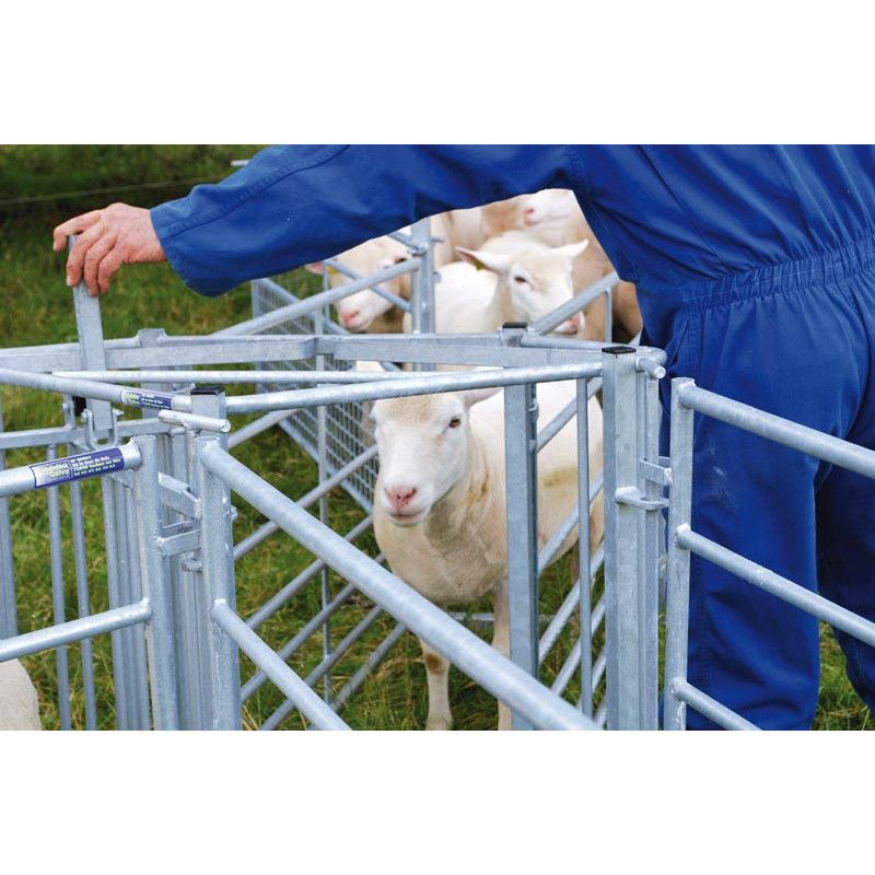 two-way sheep drafting gate in farm handling system