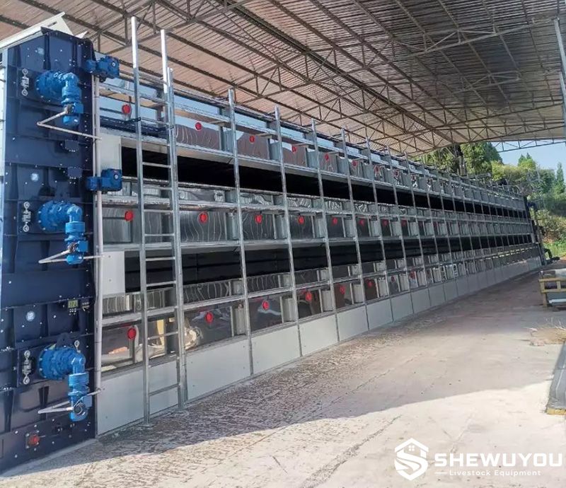 multi-tier poultry manure belt dryer