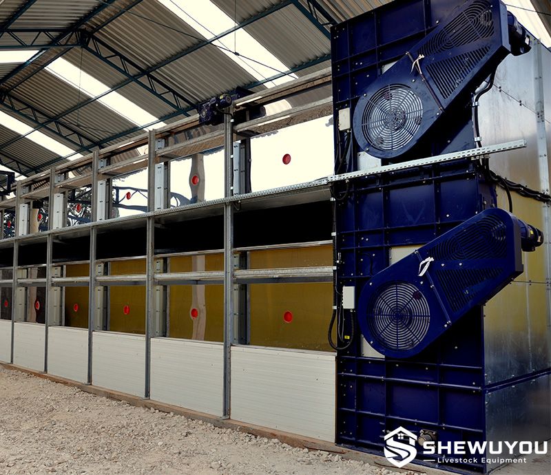 multi-tier poultry manure drying equipment
