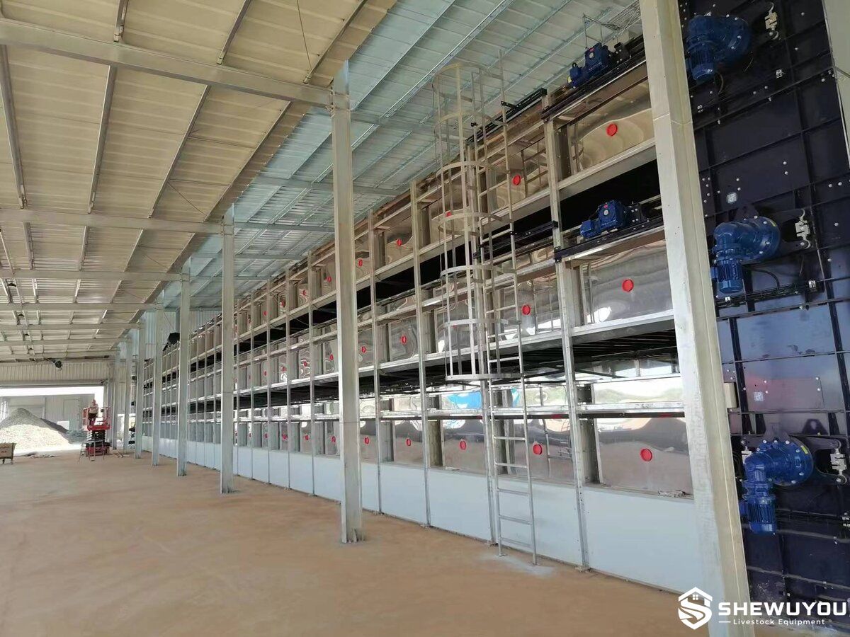 commercial poultry manure belt dryer installation