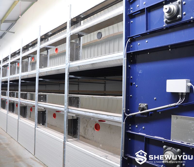 poultry manure dryer belt and airflow system