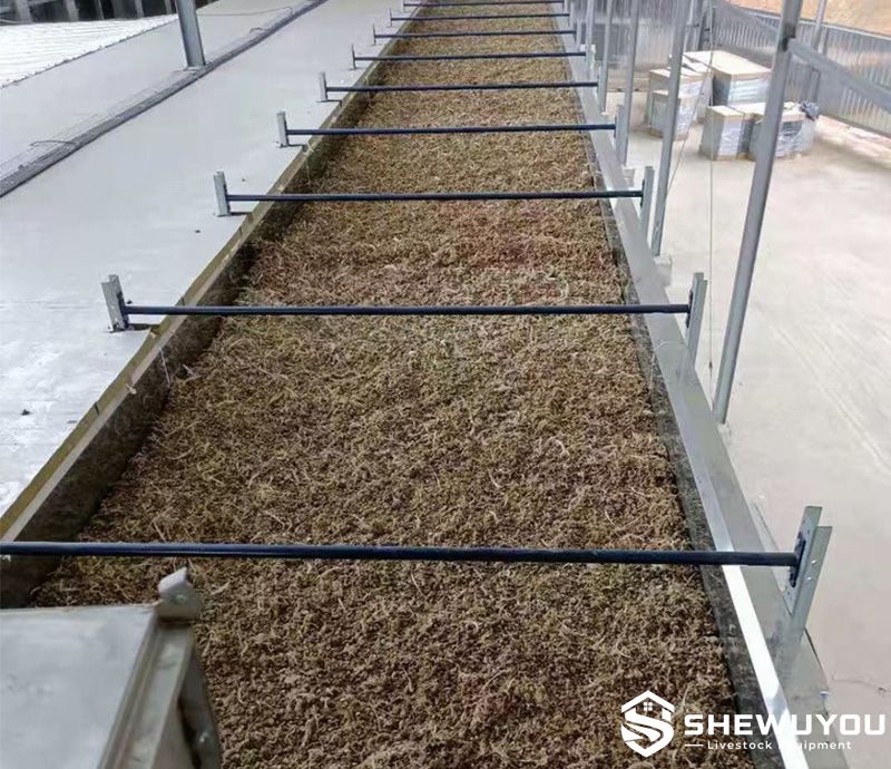 dried poultry manure on conveyor belt