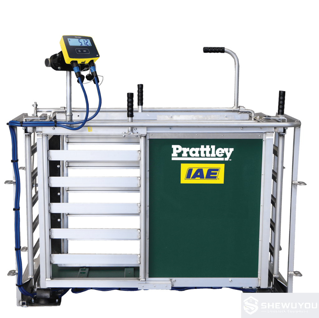 manual 3-way sheep drafter and weigh crate