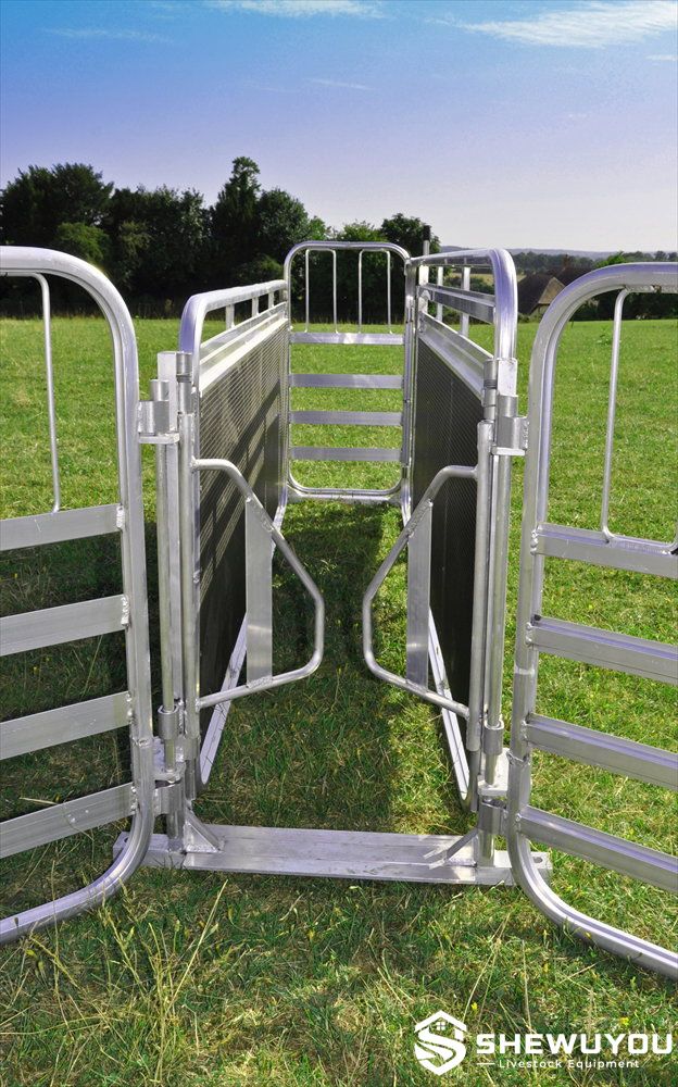anti-backing gate installed in sheep handling race