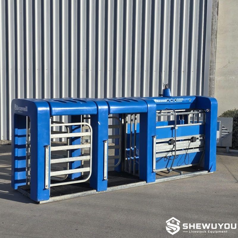 five-way automatic sheep drafting equipment