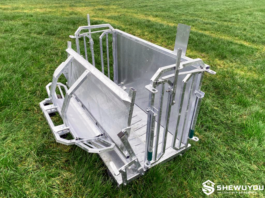 sheep turnover crate with adjustable restraint