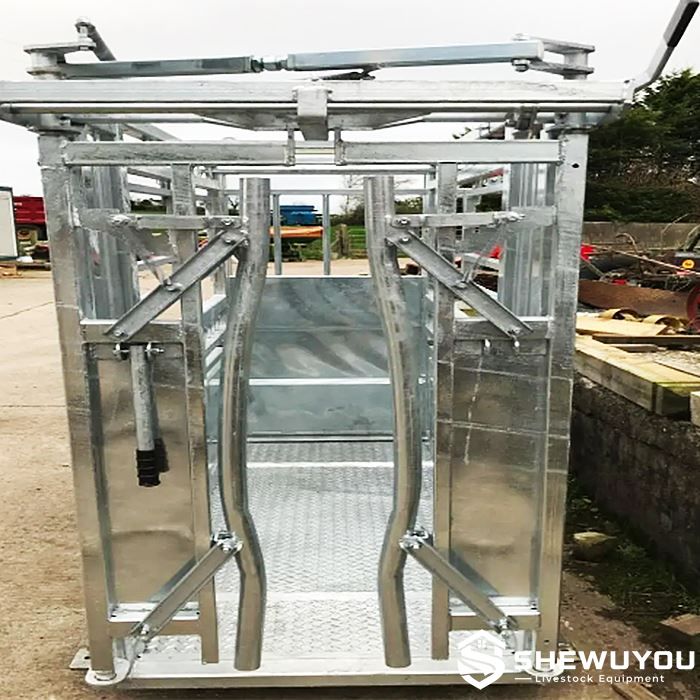 sheep squeeze restraining stand