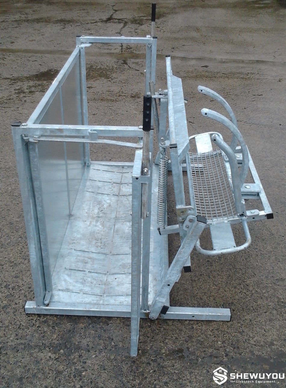 galvanized sheep squeeze chute