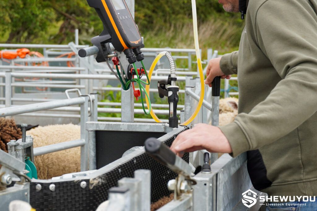 pneumatic sheep handler control system