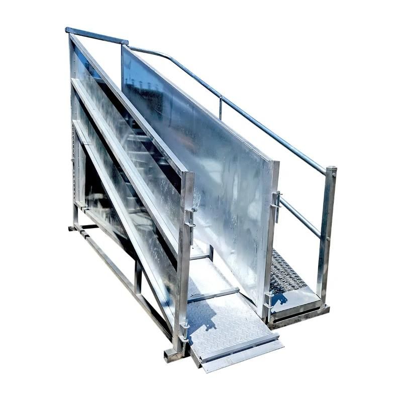 standard galvanized sheep loading ramp