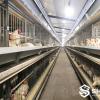 Male & Female Natural Mating Breeder Cage