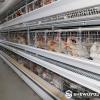 A-Type Layer Cage System 