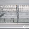 Automatic A-Type Layer Cage System