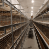 Multi-Level Rail Inspection Trolley for Poultry Systems