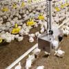 Camera-Based Rail Inspection System for Poultry Houses