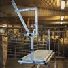 Adjustable Sheep Shearing Stand
