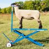 Hydraulic Lift Sheep Shearing Stand